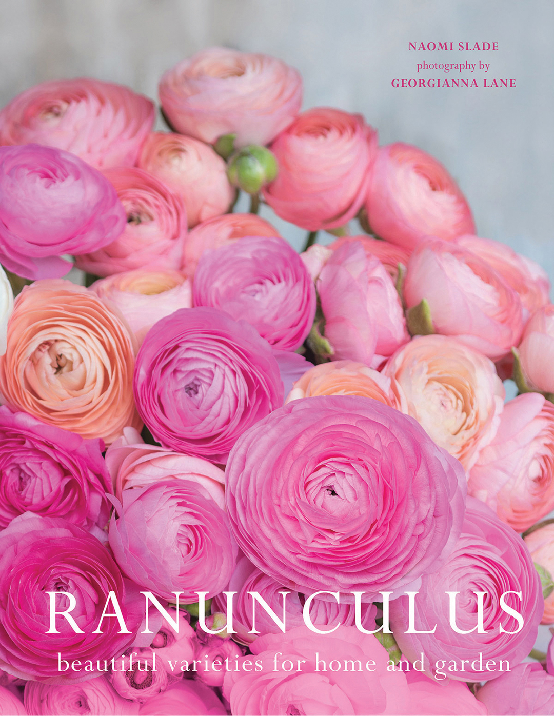 Gibbs Smith Ranunculus